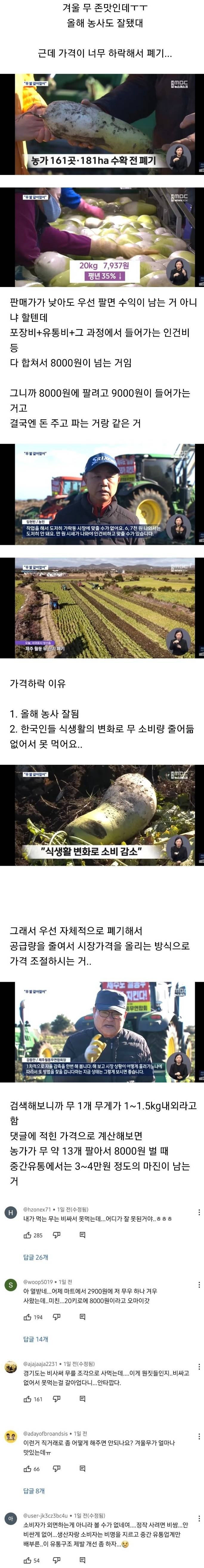 [이슈/유머]가격이 너무 내려가서 폐기 중이라는 제주도 무