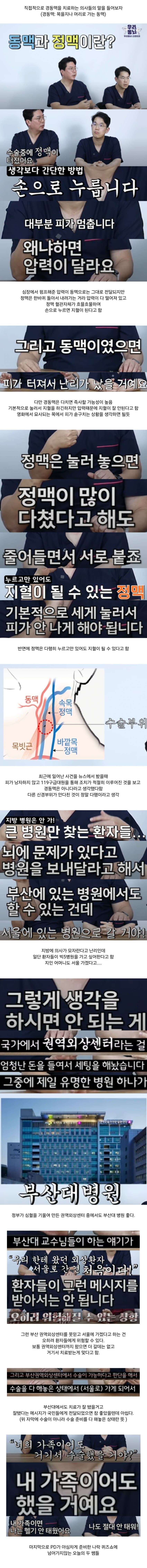 [이슈/유머]X재명으로 알아보는 동맥과 정맥의 차이