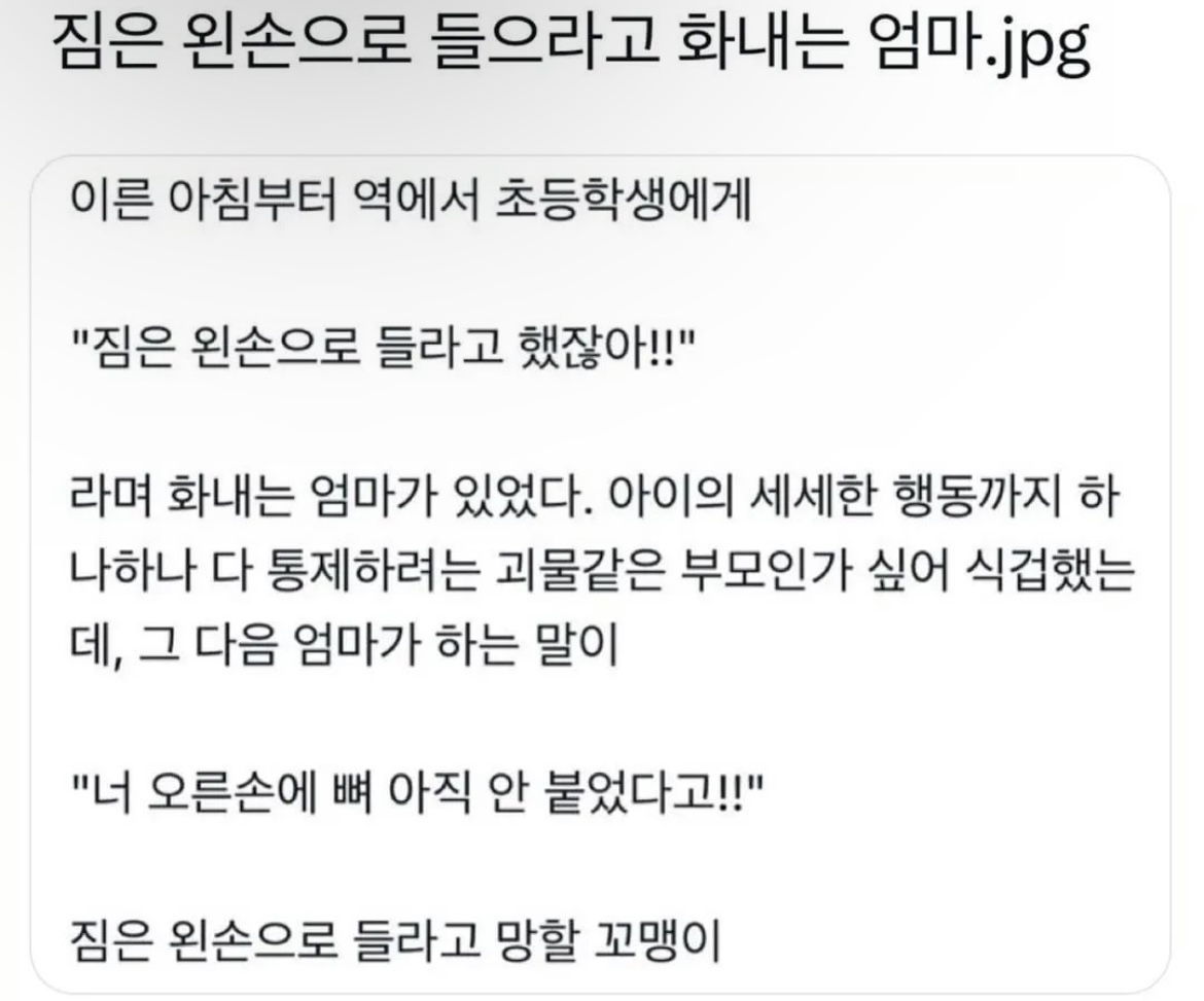 [이슈/유머]짐을 들때는 왼손으로 들으라는 엄마