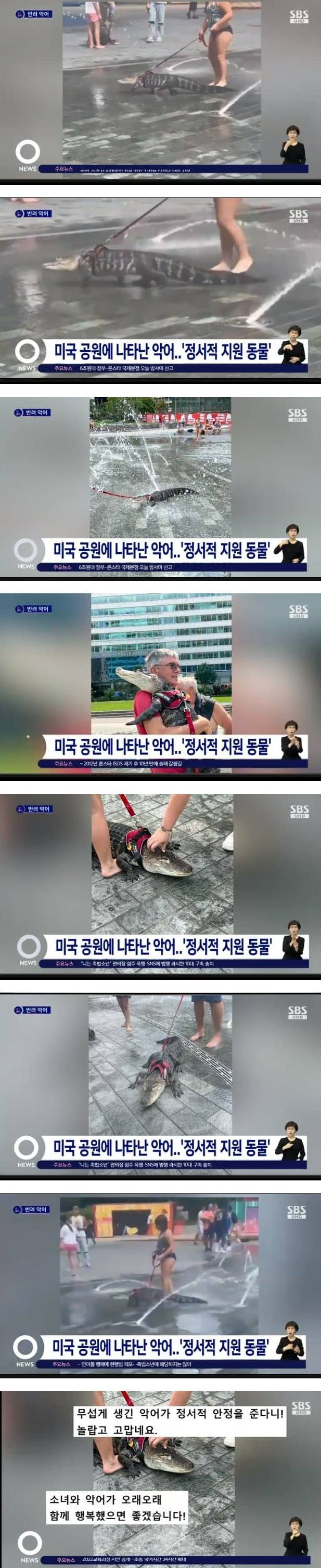 [이슈/유머] 미국 공원에 나타난 반려 악어