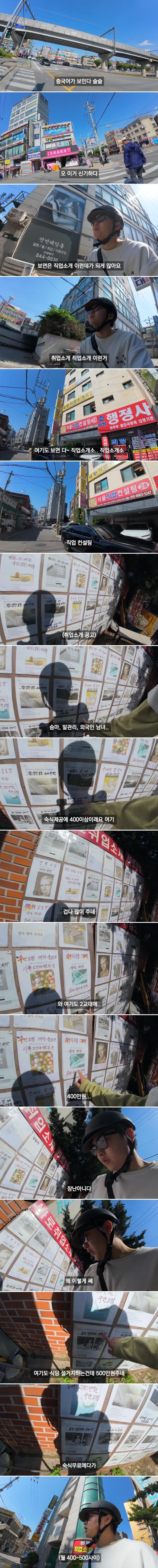 [이슈/유머] 짱깨가 한국에서 일하려는 이유